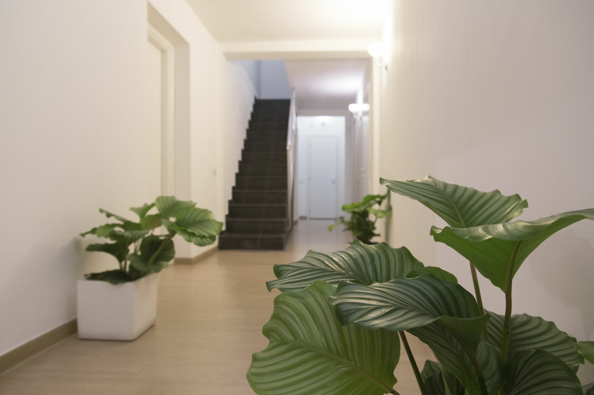 Suite Inn Catania Luaran gambar